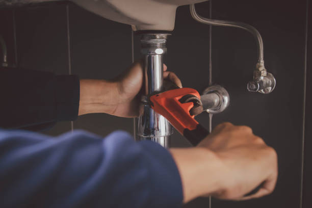 Best Plumbing System Maintenance  in Laurel, DE